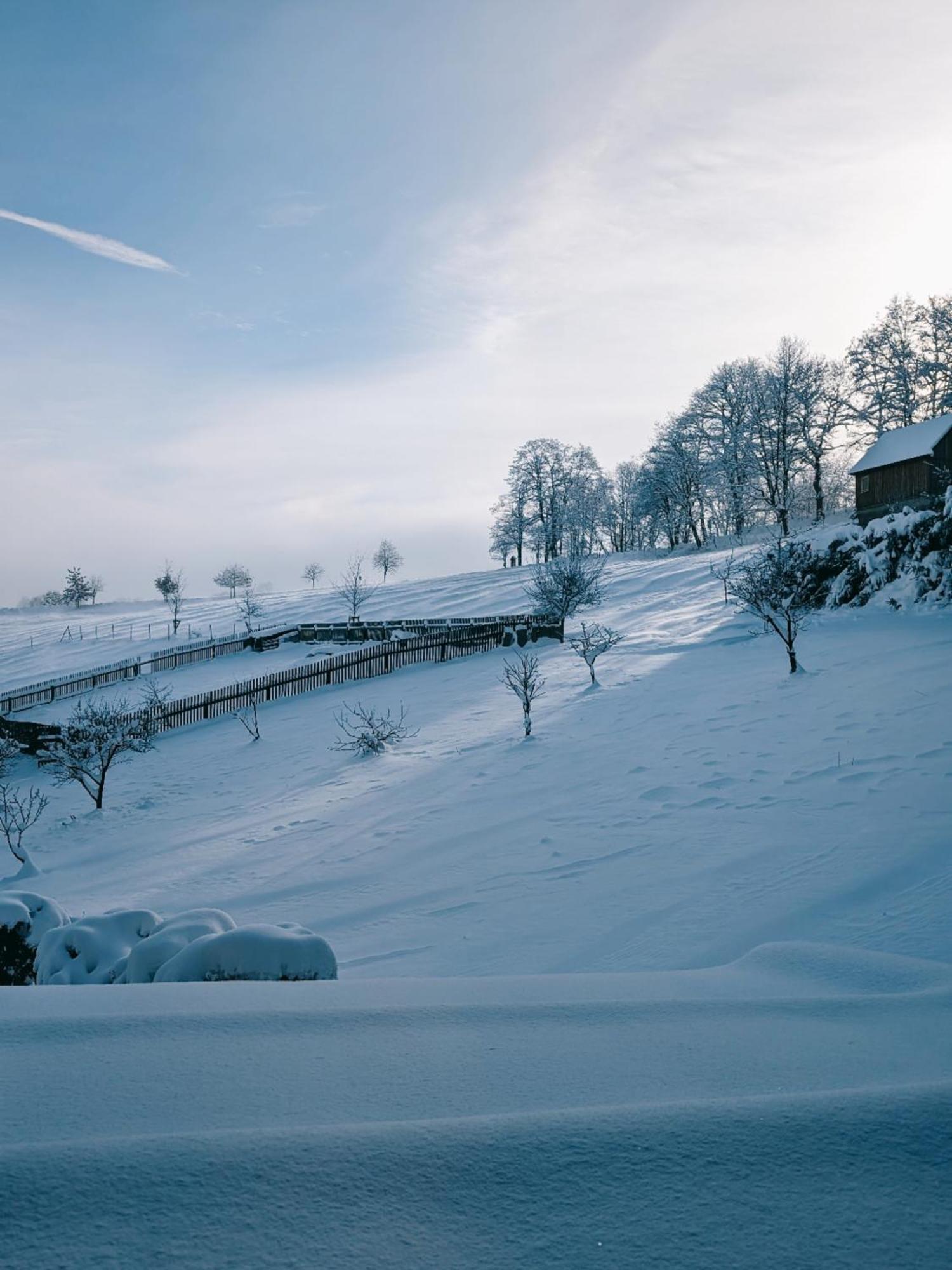 Landhaus Seiffen Bagian luar foto